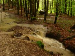 2013-06-01_Regina-F-Rau_Staffelalm_Hochwasser (030).JPG